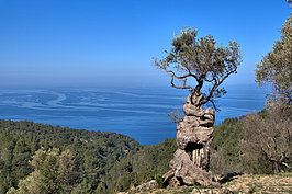 DSC05715 -1_t.jpg
